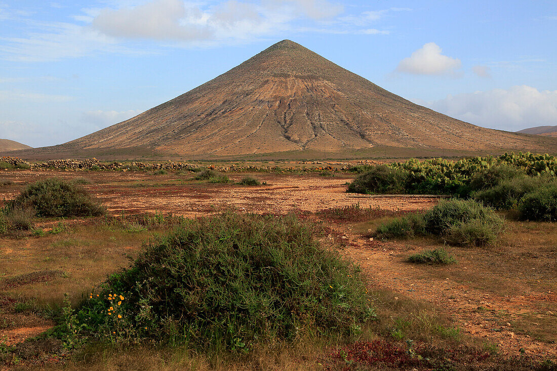  Kegelvulkan in der Nähe von La Oliva, Fuerteventura, Kanarische Inseln, Spanien 