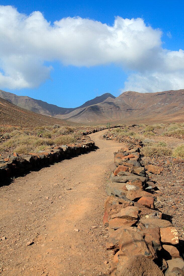  Wanderweg von Gran Valle nach Cofete, Halbinsel Jandia, Fuerteventura, Kanarische Inseln, Spanien 