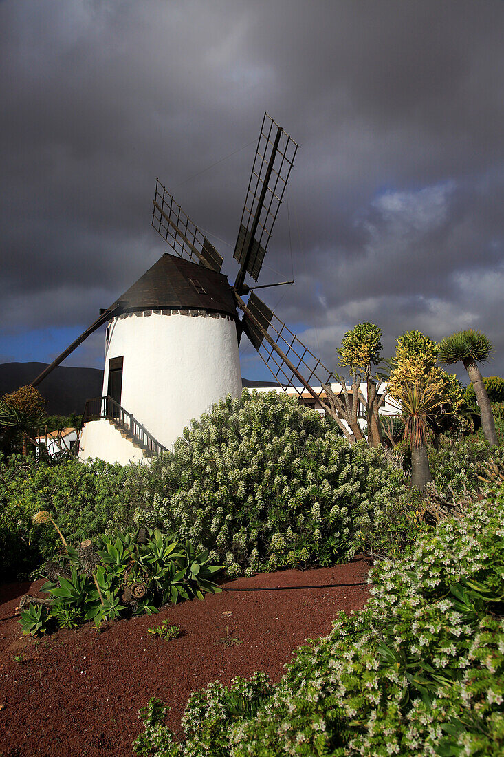  Windmühle und Garten im Centro de Artesania Molinos de Antigua, Fuerteventura, Kanarische Inseln, Spanien 