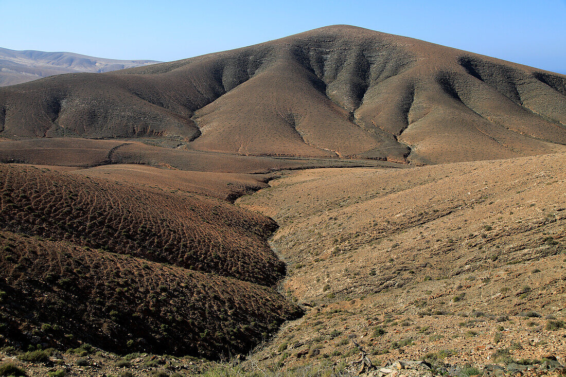  Kahle, mondähnliche, trockene Landschaft in den Bergen zwischen Pajara und La Pared, Fuerteventura, Kanarische Inseln, Spanien 