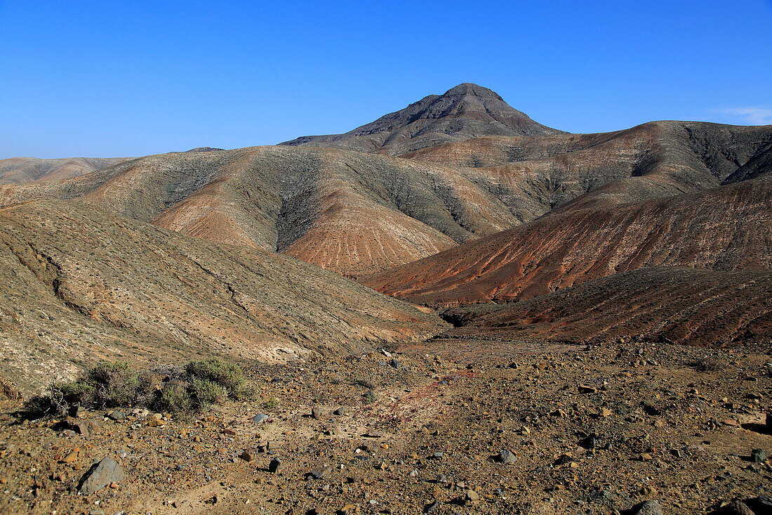  Kahle, mondähnliche, trockene Landschaft in den Bergen zwischen Pajara und La Pared, Fuerteventura, Kanarische Inseln, Spanien 