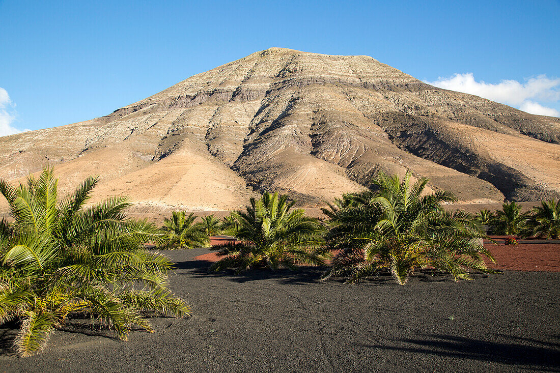 Montana de Medio, Berg, Los Ajaches-Gebirge, Lanzarote, Kanarische Inseln, Spanien