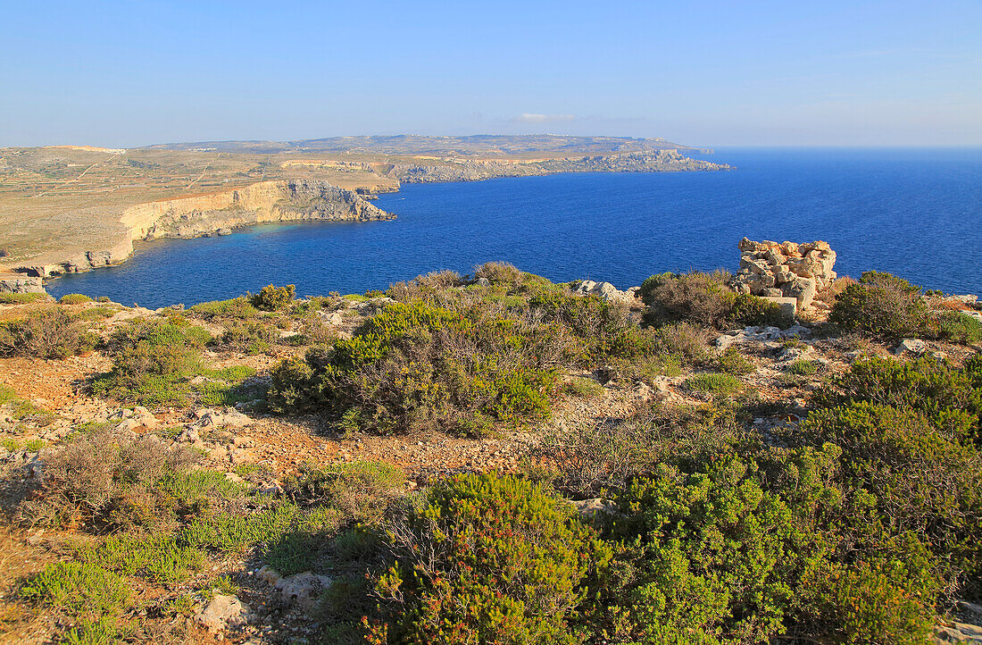 Küstenlandschaft, Vegetation, blaues Meer, Blick nach Süden von Res il-Qammieh, Halbinsel Marfa, Republik Malta