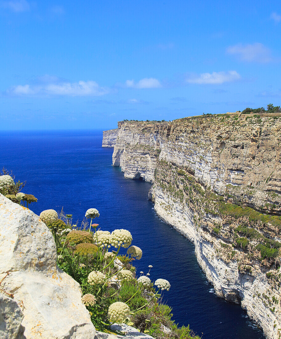 Coastal clifftop landscape view westwards at Ta' Cenc cliffs, island of Gozo, Malta