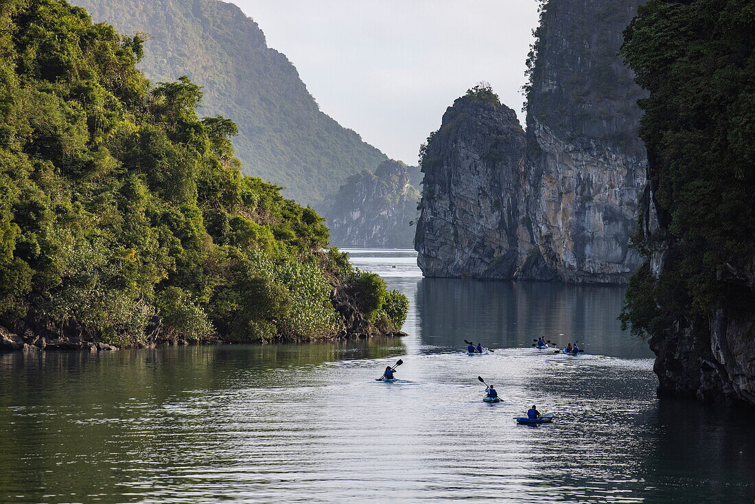 Seekajak-Ausflug für Passagiere des Kreuzfahrtschiffs Ginger (Heritage Line) und Karstinseln, Lan Ha Bay, Haiphong, Vietnam, Asien