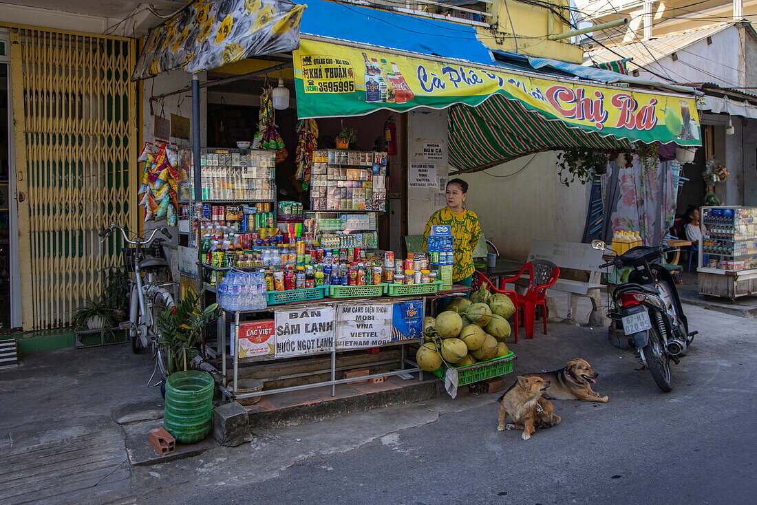  Two dogs in front of a small shop with drinks and food, Tan Chau (Tân Châu), An Giang, Vietnam, Asia 