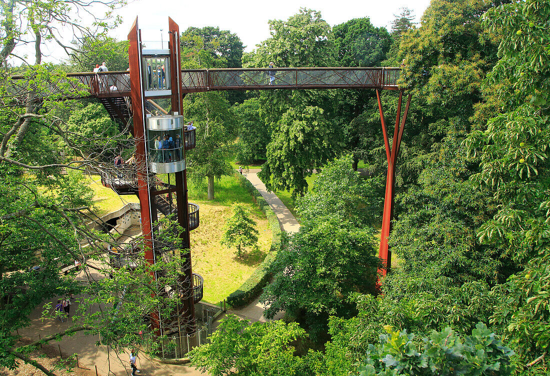 Xstrata Baumwipfelpfad, Royal Botanic Gardens, Kew, London, England, Großbritannien