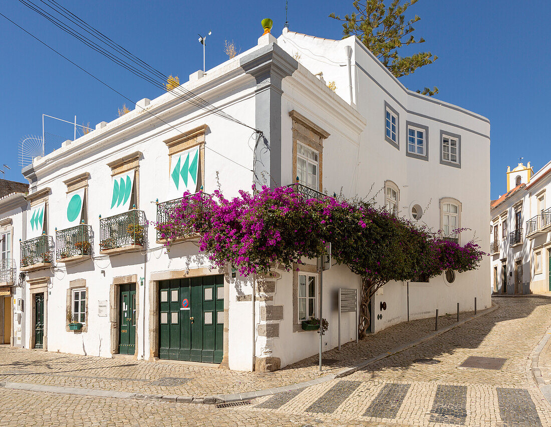 Bougainvillea in Blüte wächst auf weißgetünchten Häusern in der Altstadt, Tavira, Algarve, Portugal, Südeuropa