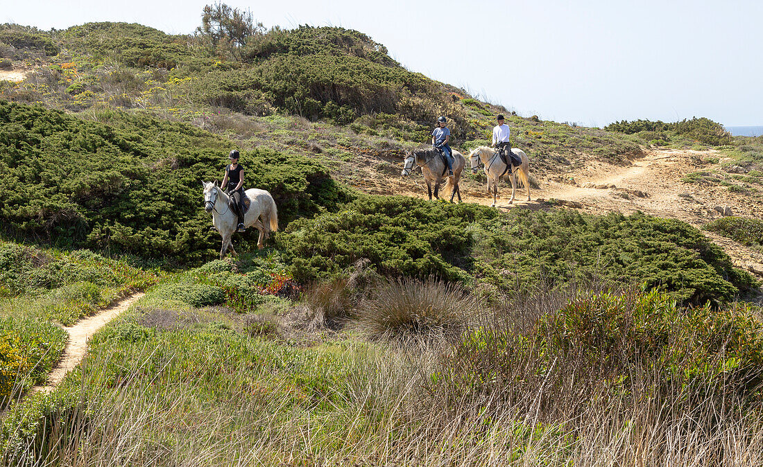 Drei Personen beim Reiten auf dem Küstenpfad, dem Fischerpfad der Ruta Vicentina, Odeceixe, Algarve, Portugal, Südeuropa