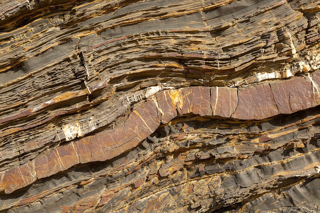 White veins of quartzite forming dykes crossing layers of metamorphosed sedimentary rock in the coastal cliff on the Atlantic coast at Odeceixe, Algarve, Portugal, southern Europe