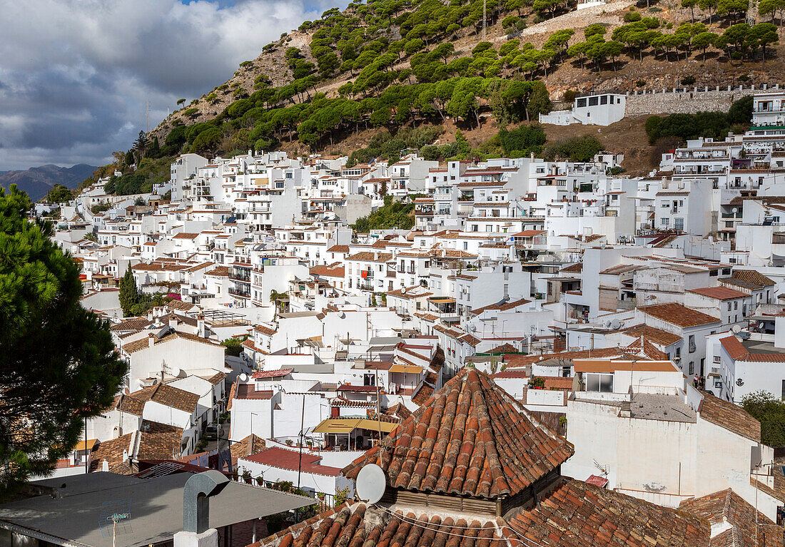 Weiß getünchte Häuser am Hang im Bergdorf Mijas, Costa del Sol, Provinz Malaga, Andalusien, Spanien