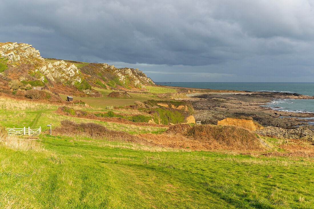 Coastal landscape with rocky foreshore,  Prawle Point, Devon,  England, UK