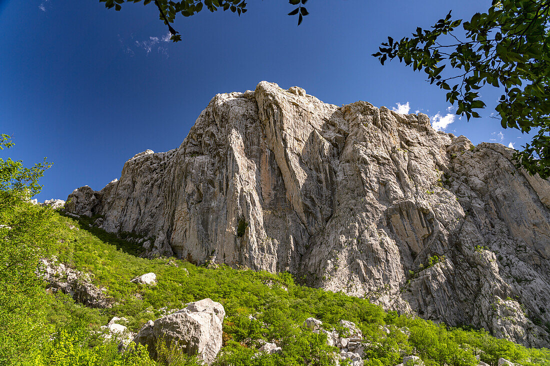  Velika Paklenica canyon in Paklenica National Park, Croatia, Europe  