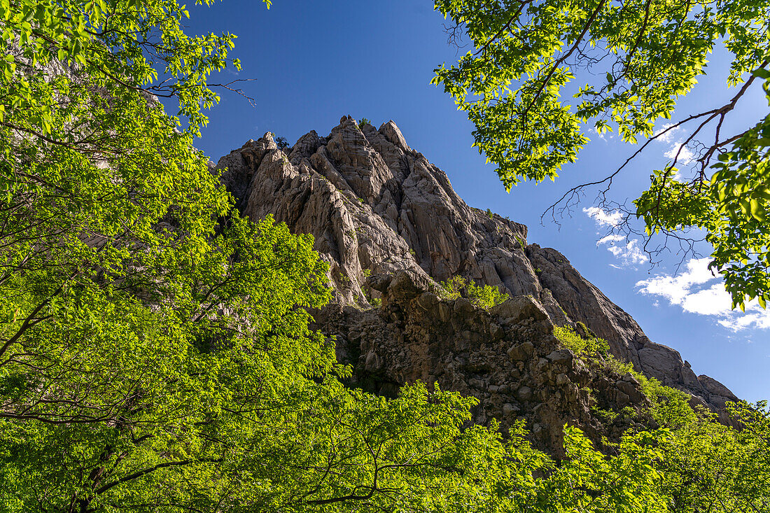  Velika Paklenica canyon in Paklenica National Park, Croatia, Europe  