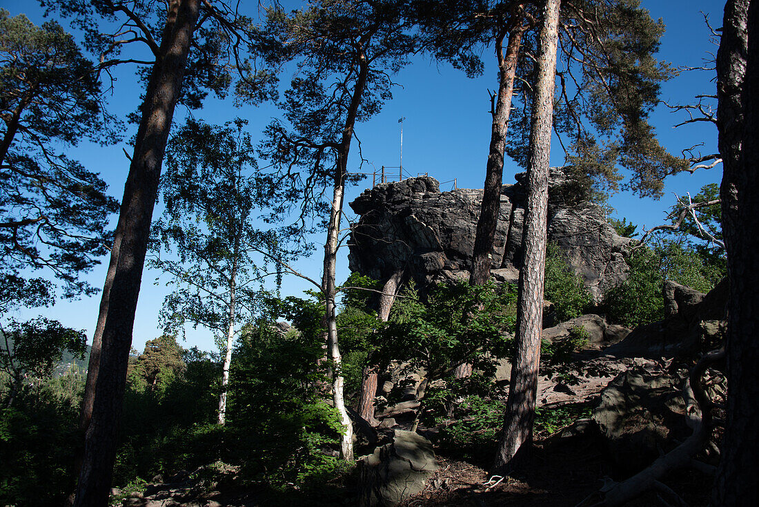 Großvaterfelsen am Wanderweg Löbbeckestieg im Harz, Kammweg führt über die Teufelsmauer, Timmenrode, Sachsen-Anhalt, Deutschland