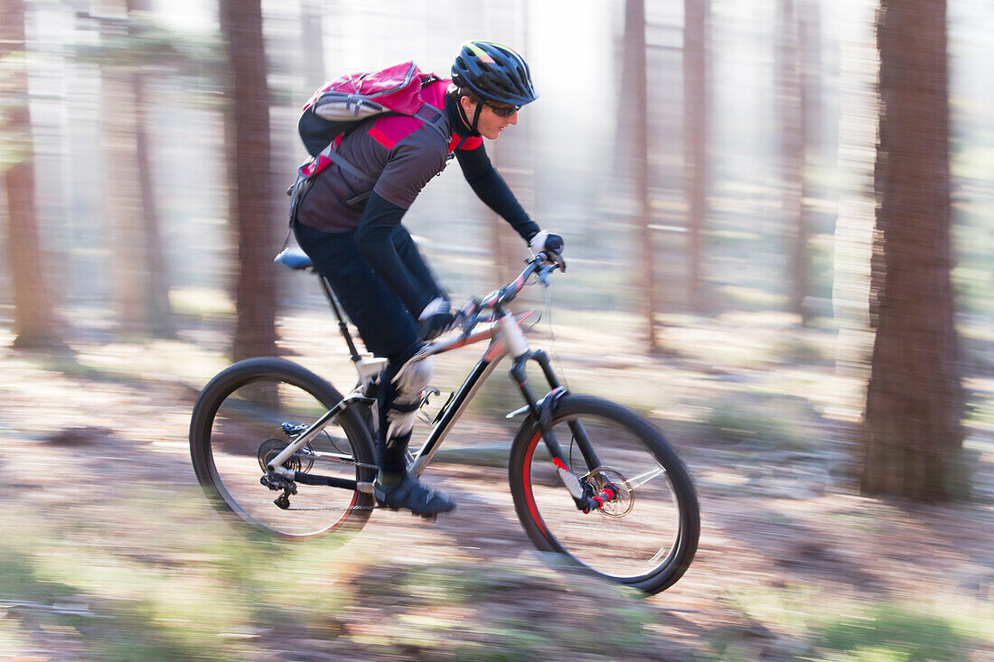  Mountain bikers in the Palatinate Forest, Neustadt an der Weinstraße, Rhineland-Palatinate, Germany 