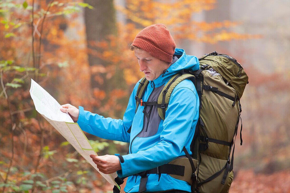  Hikers in the autumnal Palatinate Forest, Deidesheim, Rhineland-Palatinate, Germany 