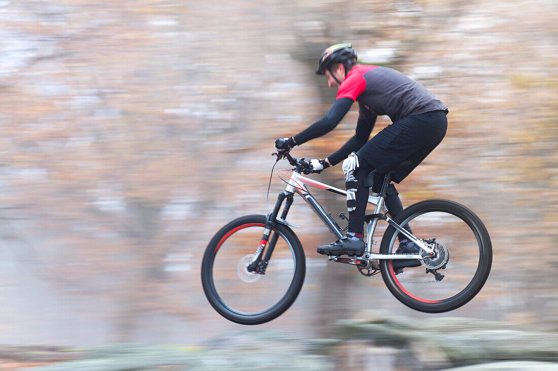  Mountain bikers in the Palatinate Forest, Neustadt an der Weinstraße, Rhineland-Palatinate, Germany 