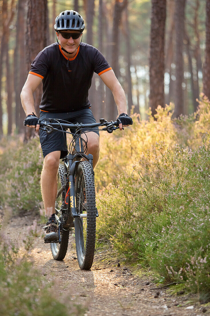  Mountain bikers in the Palatinate Forest, Neustadt an der Weinstraße, Rhineland-Palatinate, Germany 