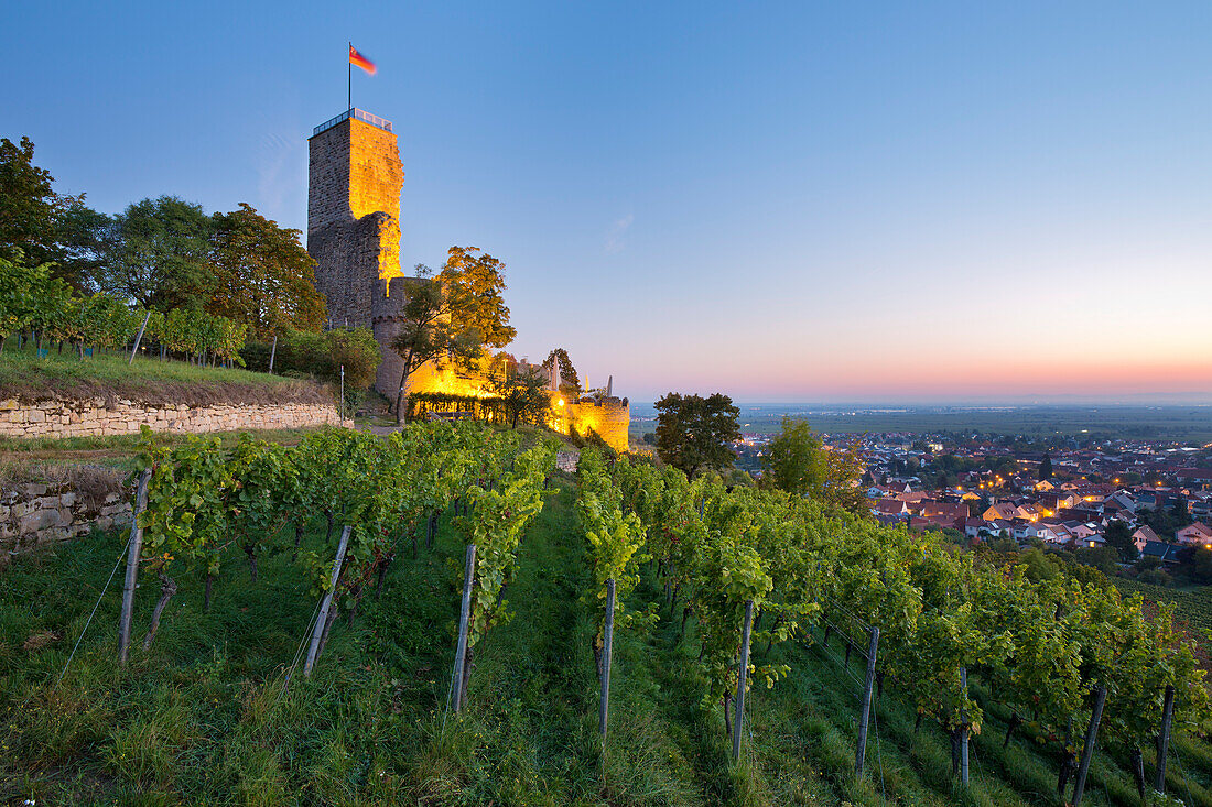  The Wachtenburg in the vineyards of Wachenheim, Rhineland-Palatinate, Germany 