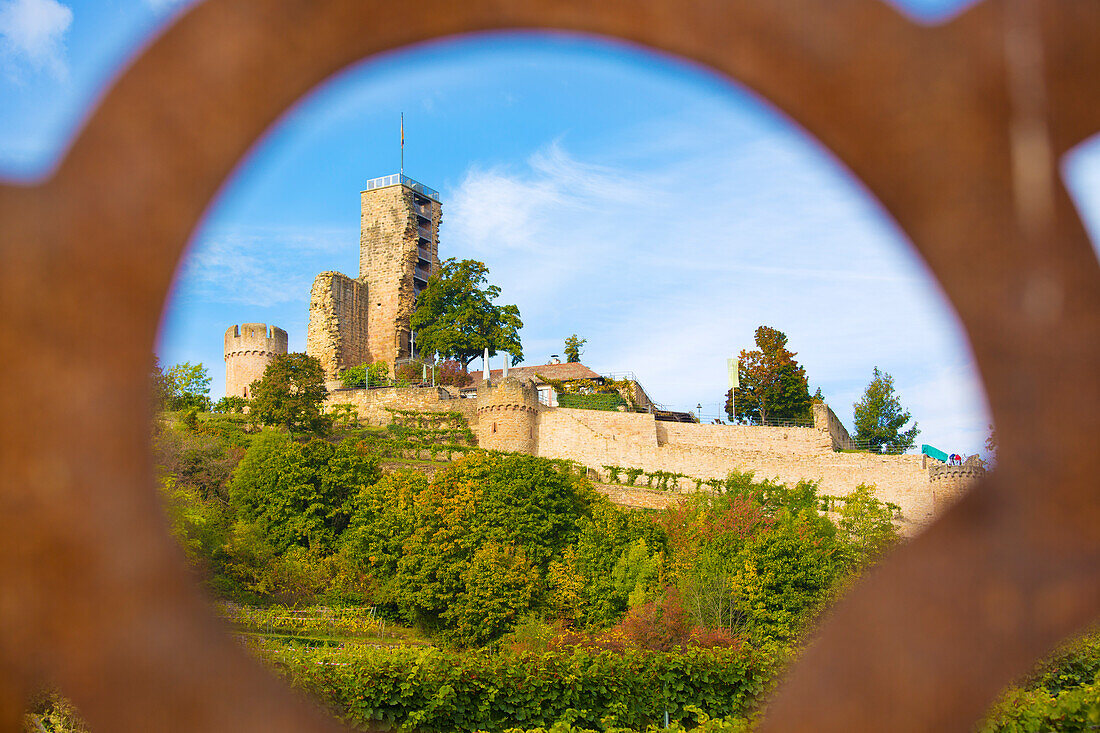  The Wachtenburg in autumn, Wachenheim an der Weinstraße, Rhineland-Palatinate, Germany 