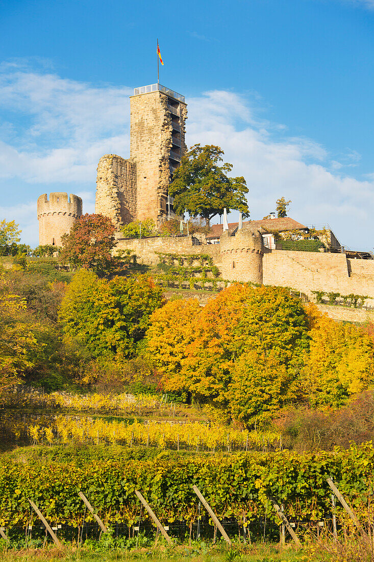  The Wachtenburg in autumn, Wachenheim an der Weinstraße, Rhineland-Palatinate, Germany 