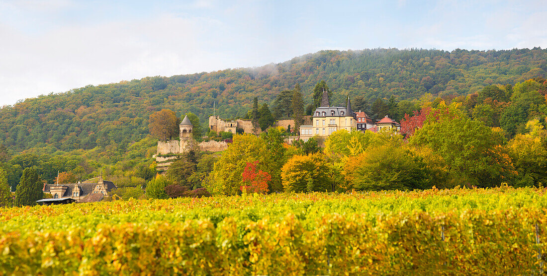 Das Haardter Schloss im Herbst, Neustadt an der Weinstraße, Rheinland-Pfalz, Deutschland