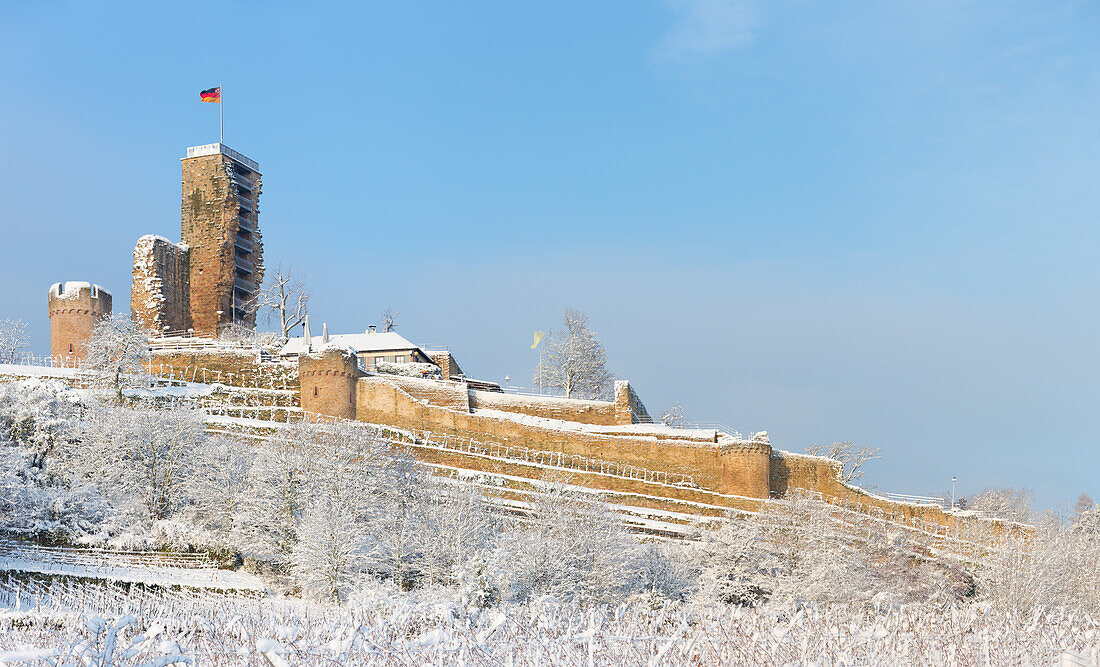  The Wachtenburg in the snow, Wachenheim an der Weinstraße, Rhineland-Palatinate, Germany 