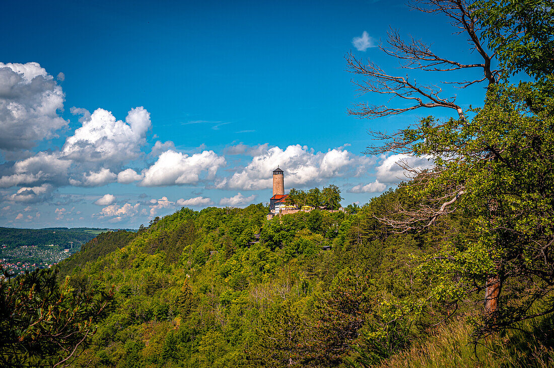  View of the Fuchsturm on the local mountain in Jena in summer with blue sky and white cumulus clouds, Jena, Thuringia, Germany 