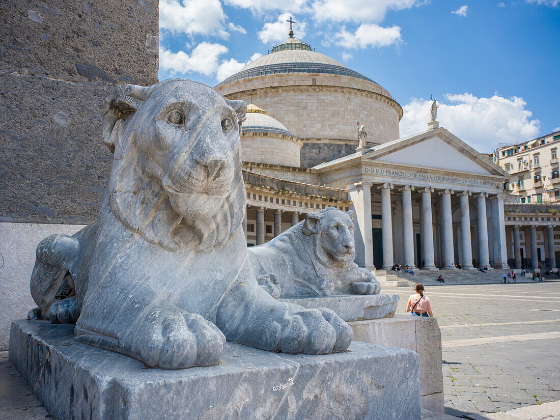  Lion sculpture in front of the Basilica Reale Pontificia San Francesco da Paola at night, Piazza del Plebiscito, Naples, Campania, Southern Italy, Italy, Europe 