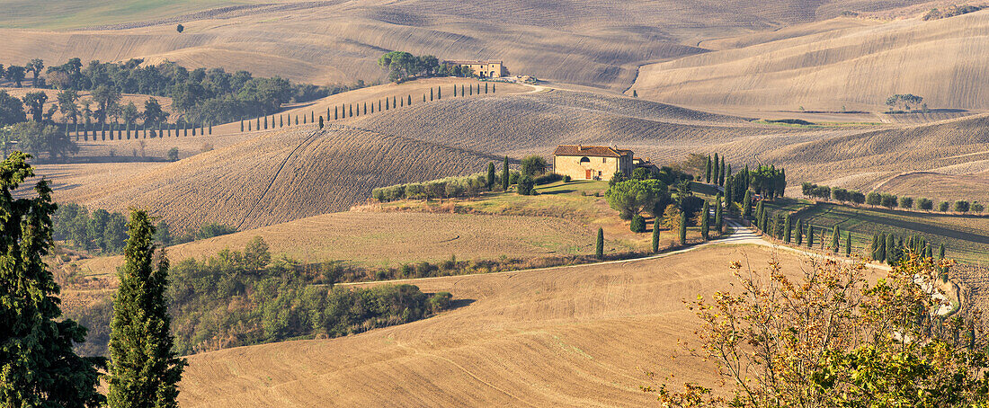 In den Hügeln unterhalb von Pienza, Val d'Orcia, UNESCO Weltkulturerbe, Provinz Siena, Toskana, Italien, Europa