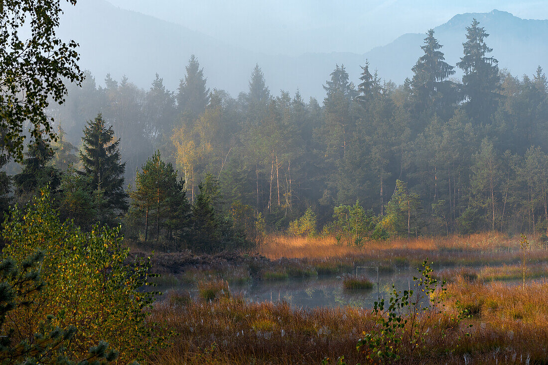 Oktobermorgen im Nicklheimer Filz, Bayerische Alpen, Oberbayern, Bayern, Deutschland