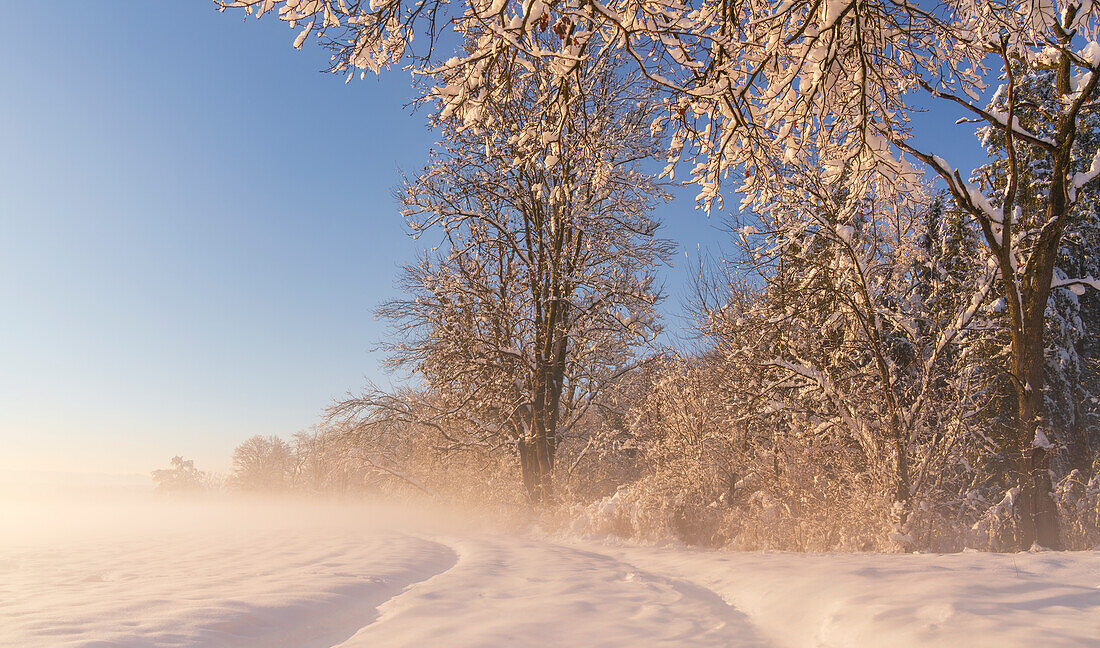 Hiking trail in the snow at the edge of the forest, Bavaria, Germany