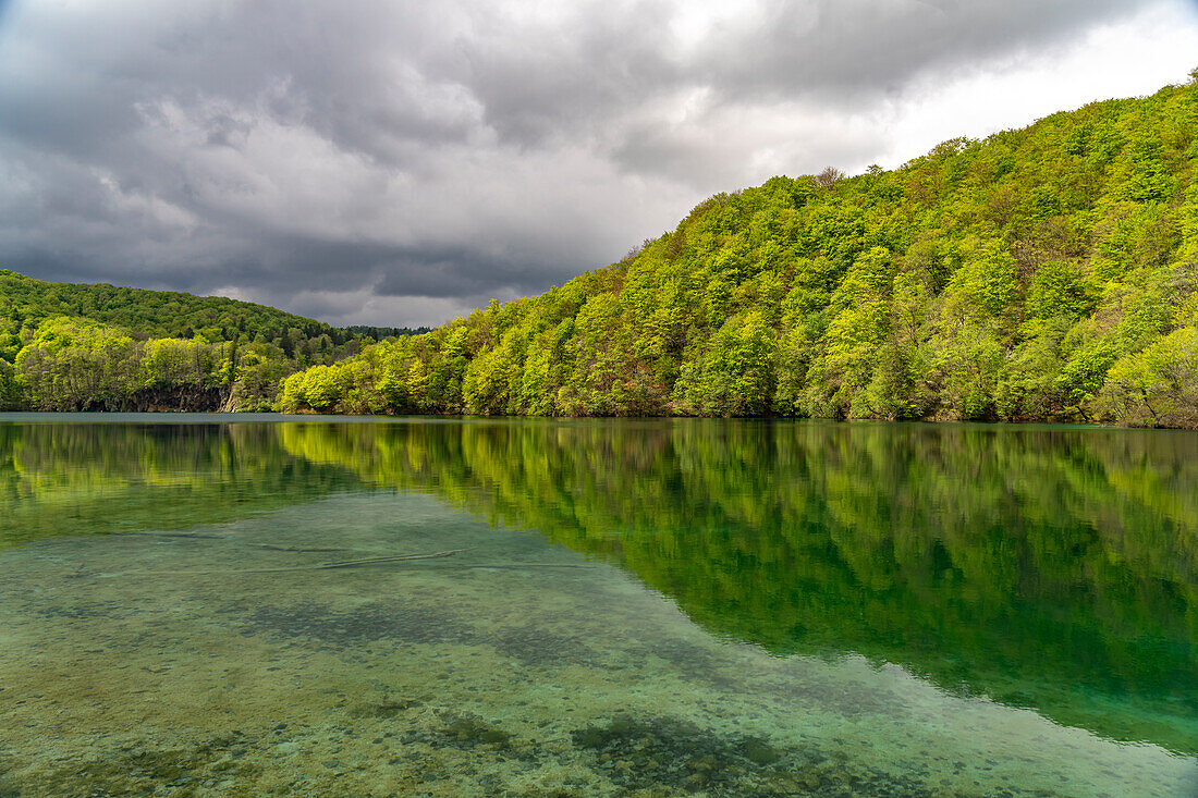  Lake in Plitvice Lakes National Park, Croatia, Europe 