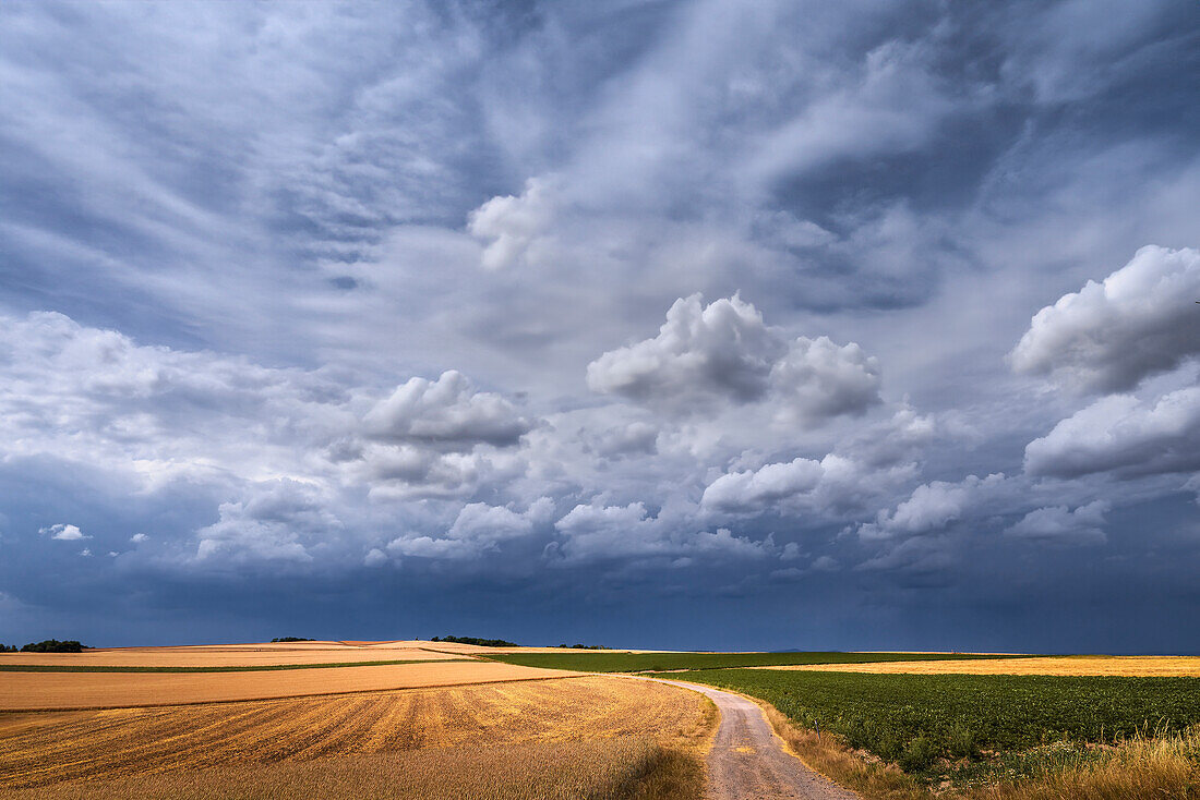 Dunkle Gewitterwolken über leuchtenden Kornfeldern, Bayern, Deutschland