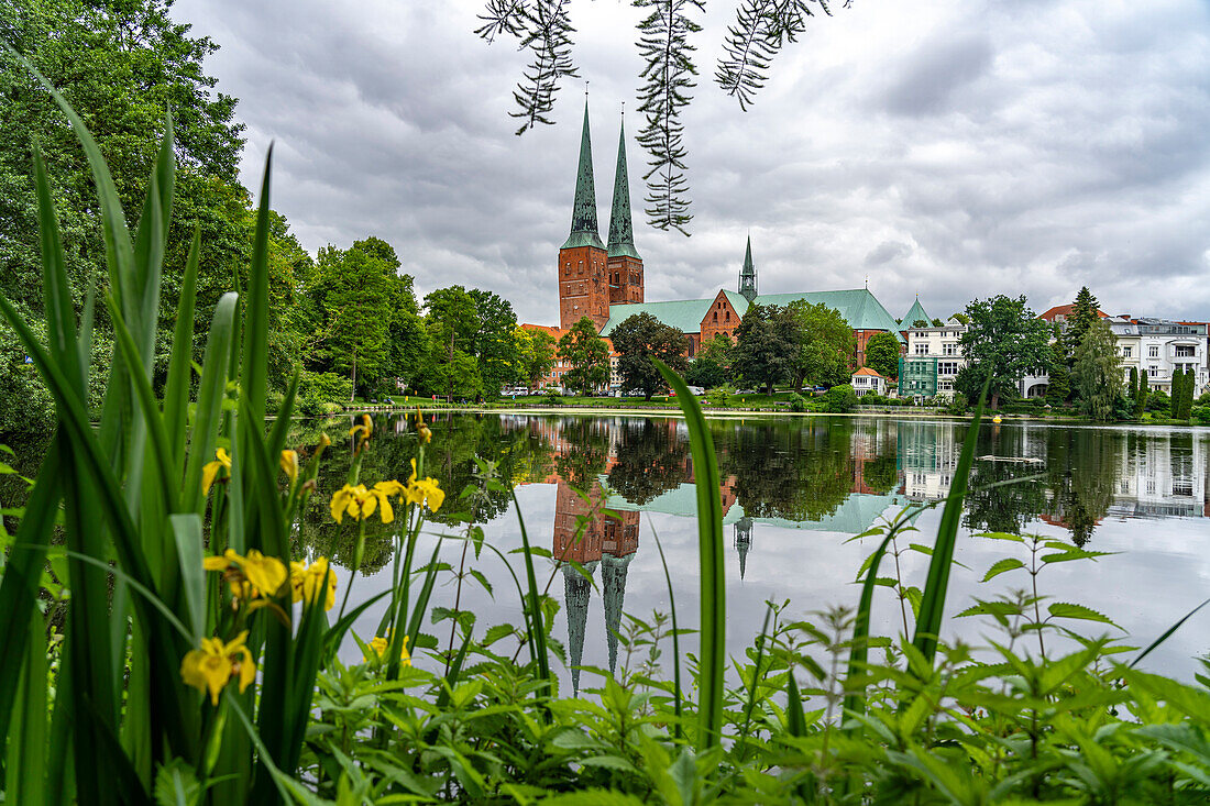 Mühlenteich und der Lübecker Dom, Hansestadt Lübeck, Schleswig-Holstein, Deutschland 