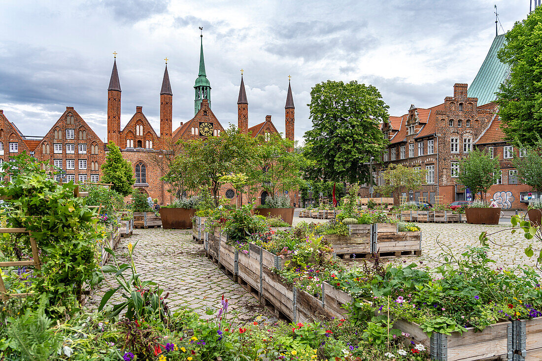  Flower boxes at Geibelplatz and Heiligen-Geist-Hospital in the Hanseatic city of Lübeck, Schleswig-Holstein, Germany  