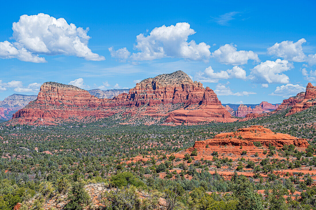 Blick auf Mammoth Rock, Red Rock State Park, Sedona, Arizona, USA, Vereinigte Staaten