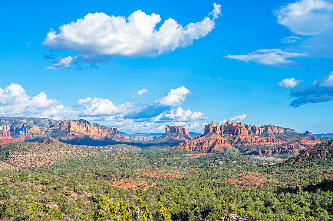  Cathedral Rock in the evening light, Sedona, Arizona, USA, United States 