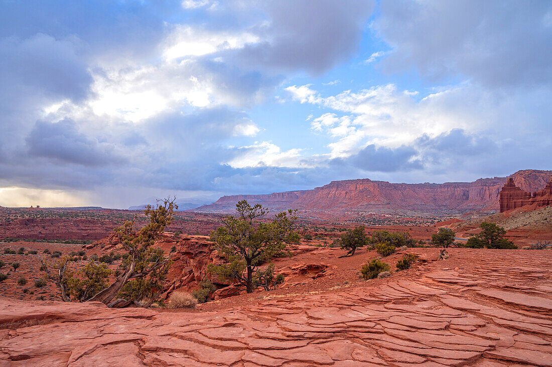 Blick vom Panorama Point, Capitol Reef Nationalpark, Utah, USA, Vereinigte Staaten