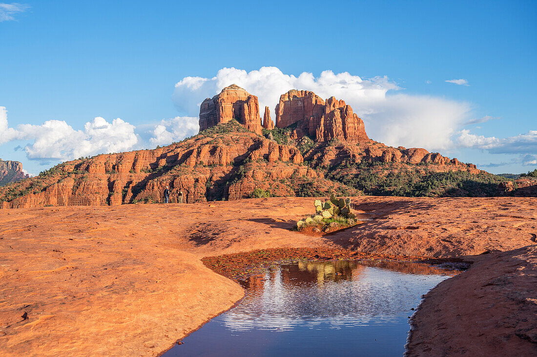  View of Cathedral Rock from Secret Slickrock, Sedona, Arizona, USA, United States 