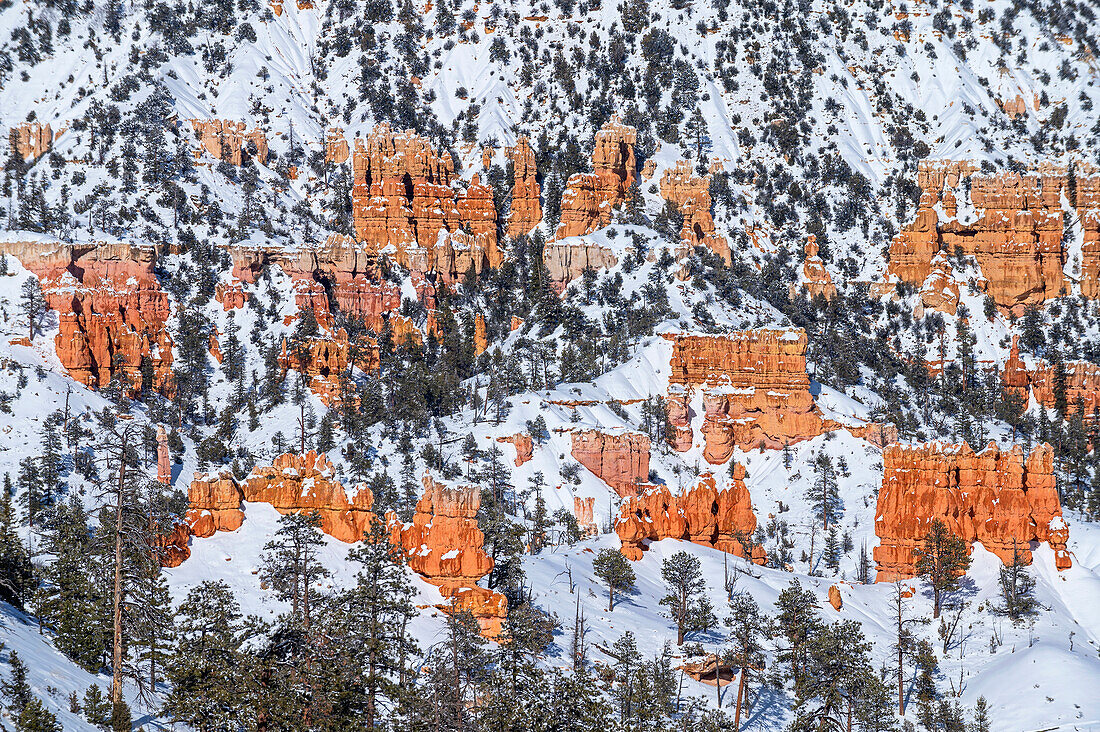  Bryce Canyon National Park, Utah, USA, United States 