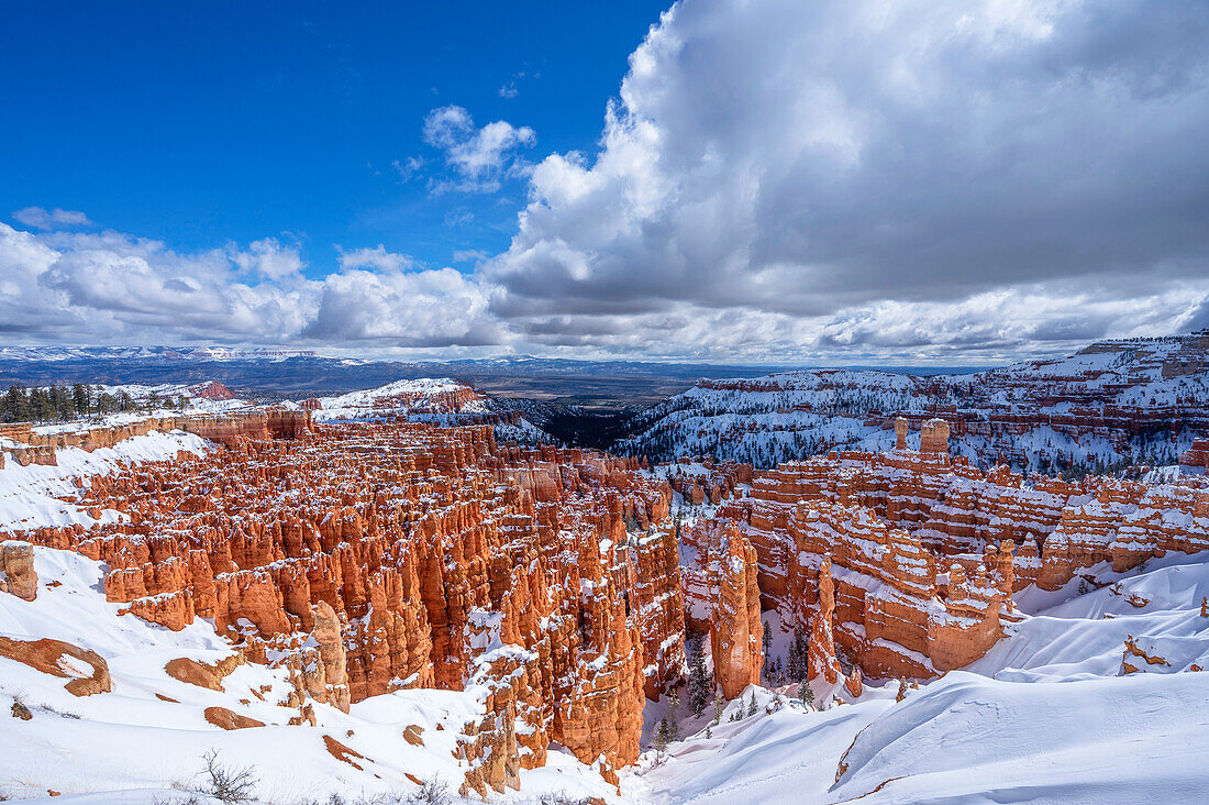 Blick in den Bryce Canyon im Winter, Bryce Canyon Nationalpark, Utah, USA, Vereinigte Staaten