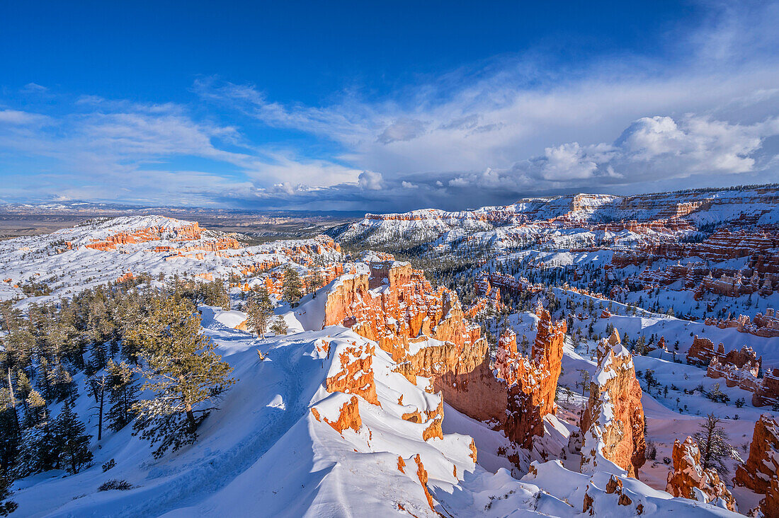 Blick in den Bryce Canyon im Winter, Bryce Canyon Nationalpark, Utah, USA, Vereinigte Staaten