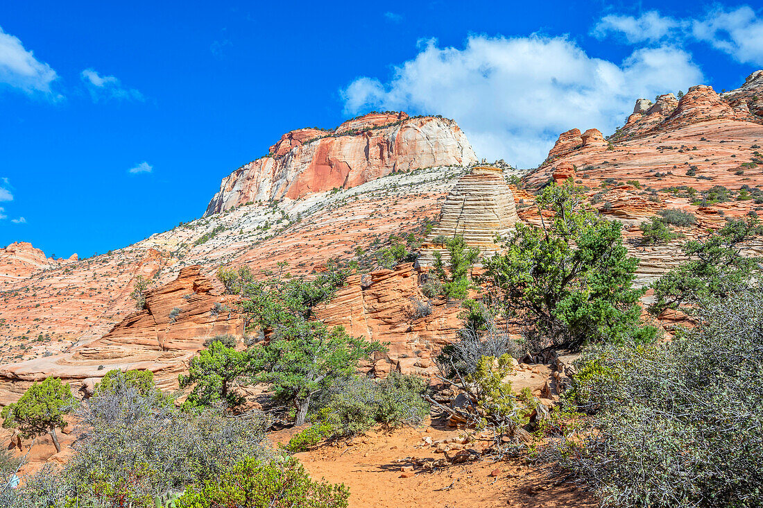  Canyon Overlook Trail, Zion National Park, Utah, USA, United States 