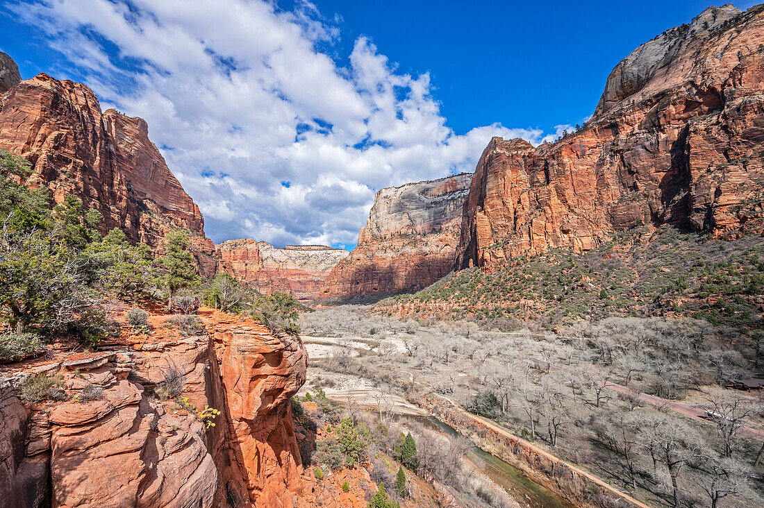  Virgin River Valley, Zion National Park, Utah, USA 