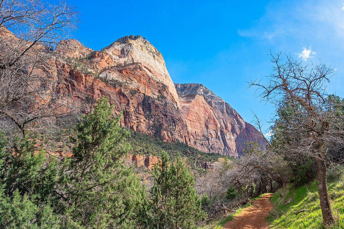  Virgin River Valley, Zion National Park, Utah, USA 