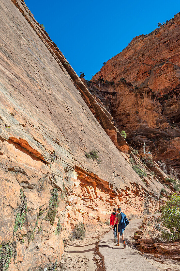  Angels Landing Trail, Zion National Park, Utah, USA, United States 