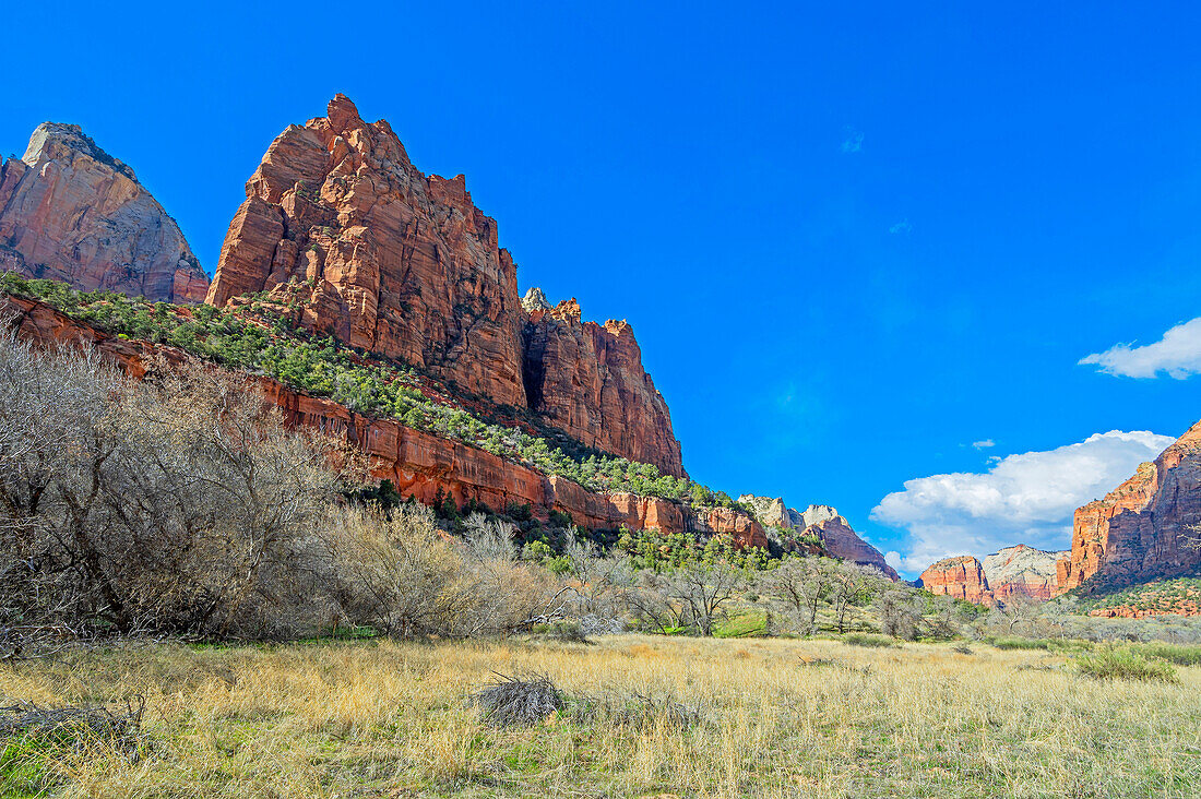  Virgin River Valley, Zion National Park, Utah, USA 