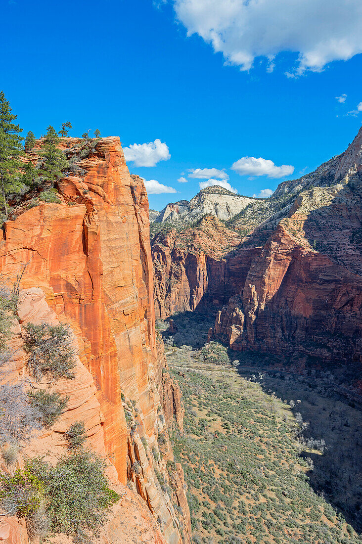  View from Scout Lookout on Angels Landing Trail, Zion National Park, Utah, USA, United States 